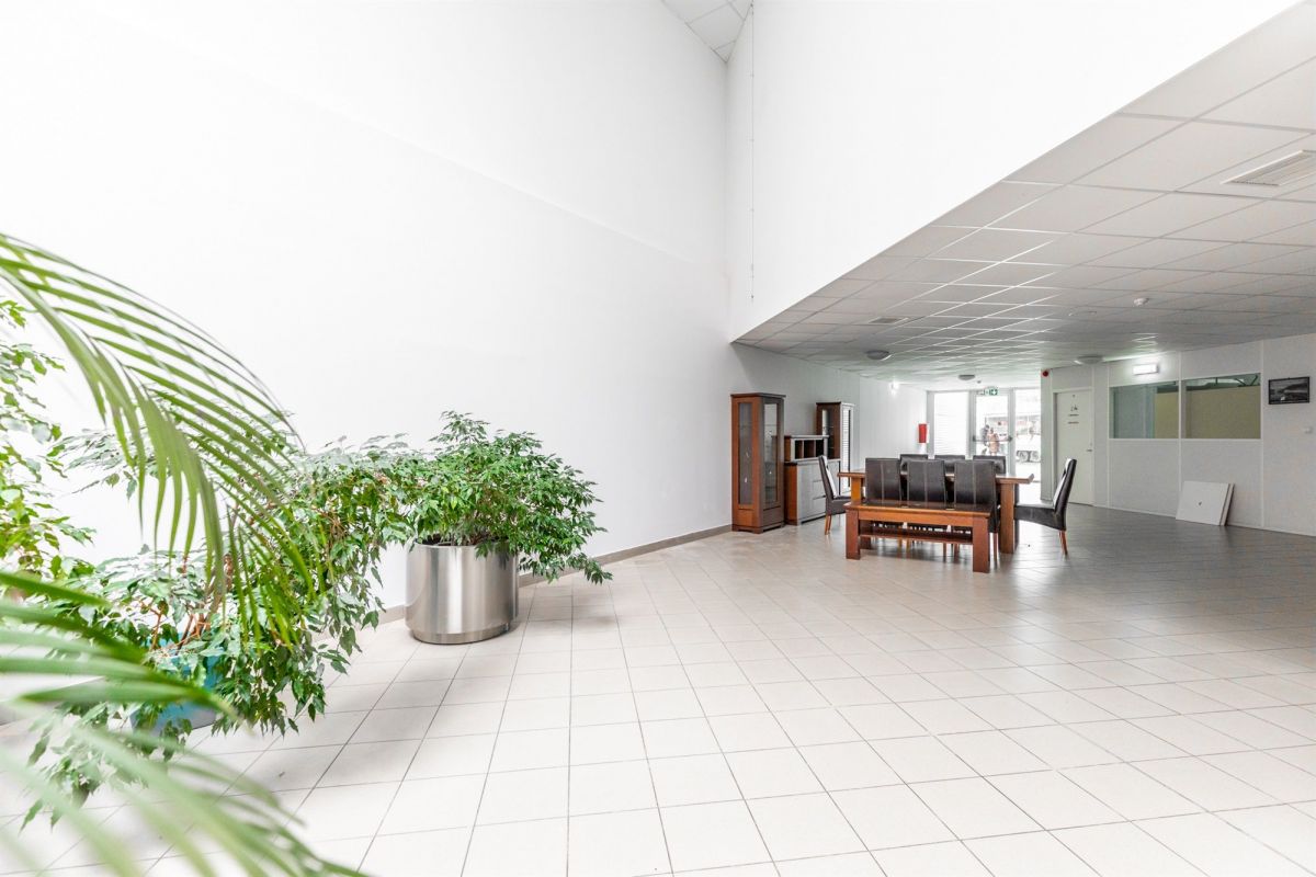 Lokal parter z witryną 560m2 - Lublin, LSM