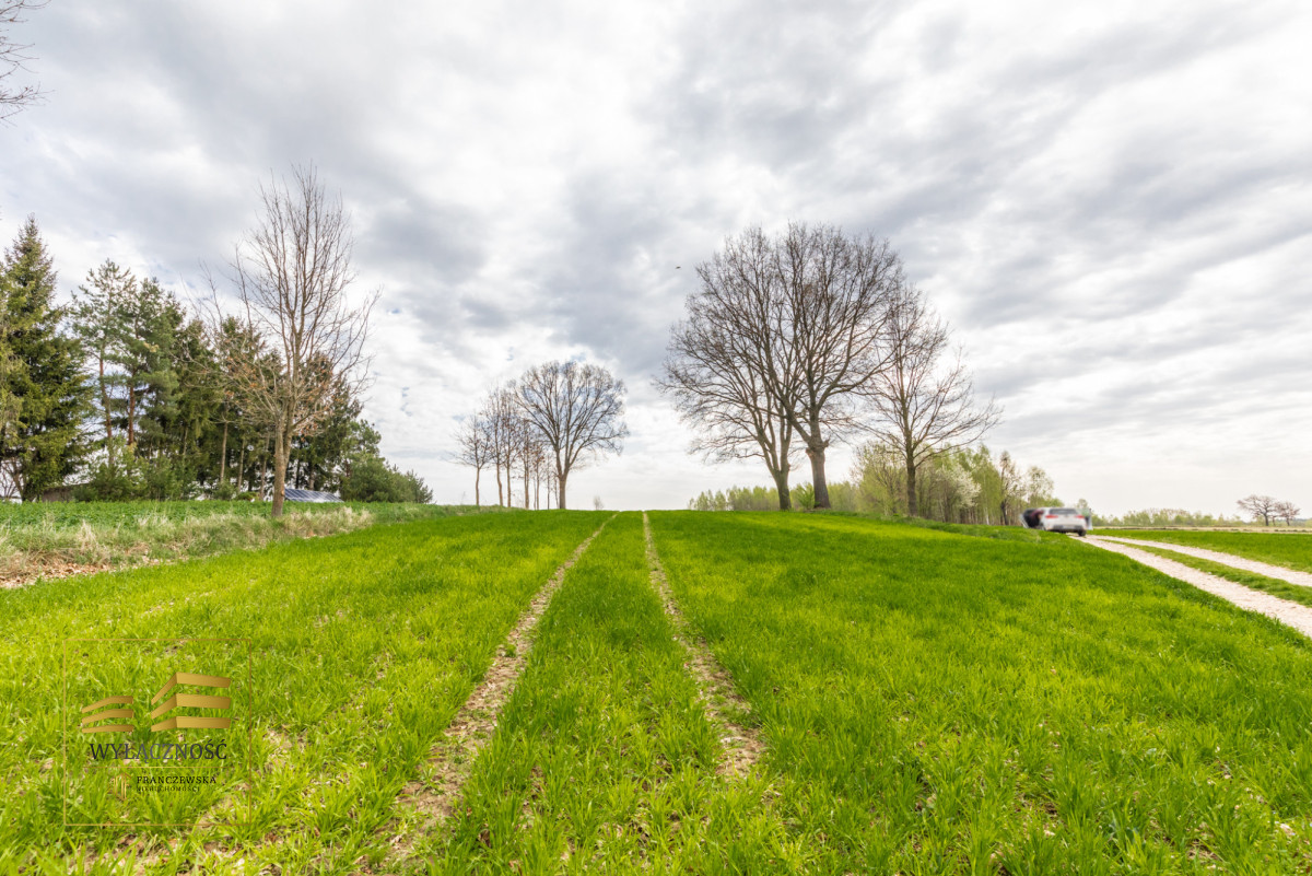 Działka rolna o pow. 3900m2 w Płouszowicach