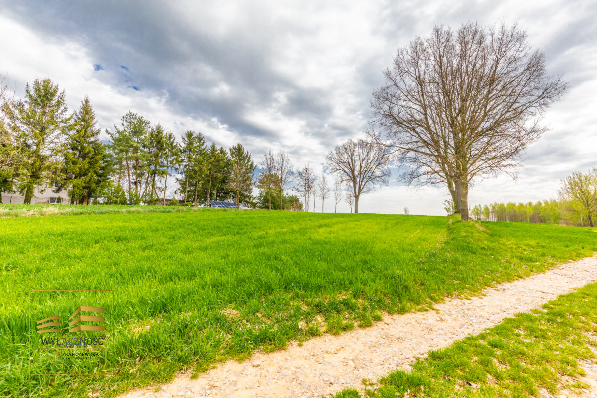 Działka rolna o pow. 3900m2 w Płouszowicach
