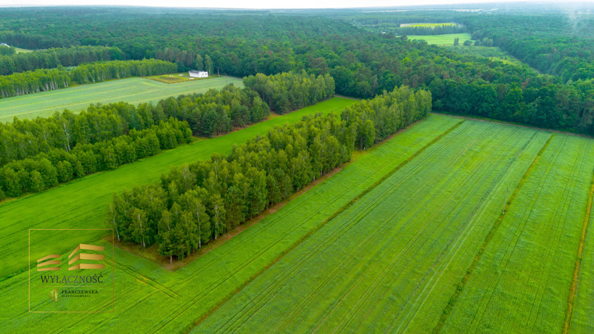 Działki budowlane w świetnej lokalizacji