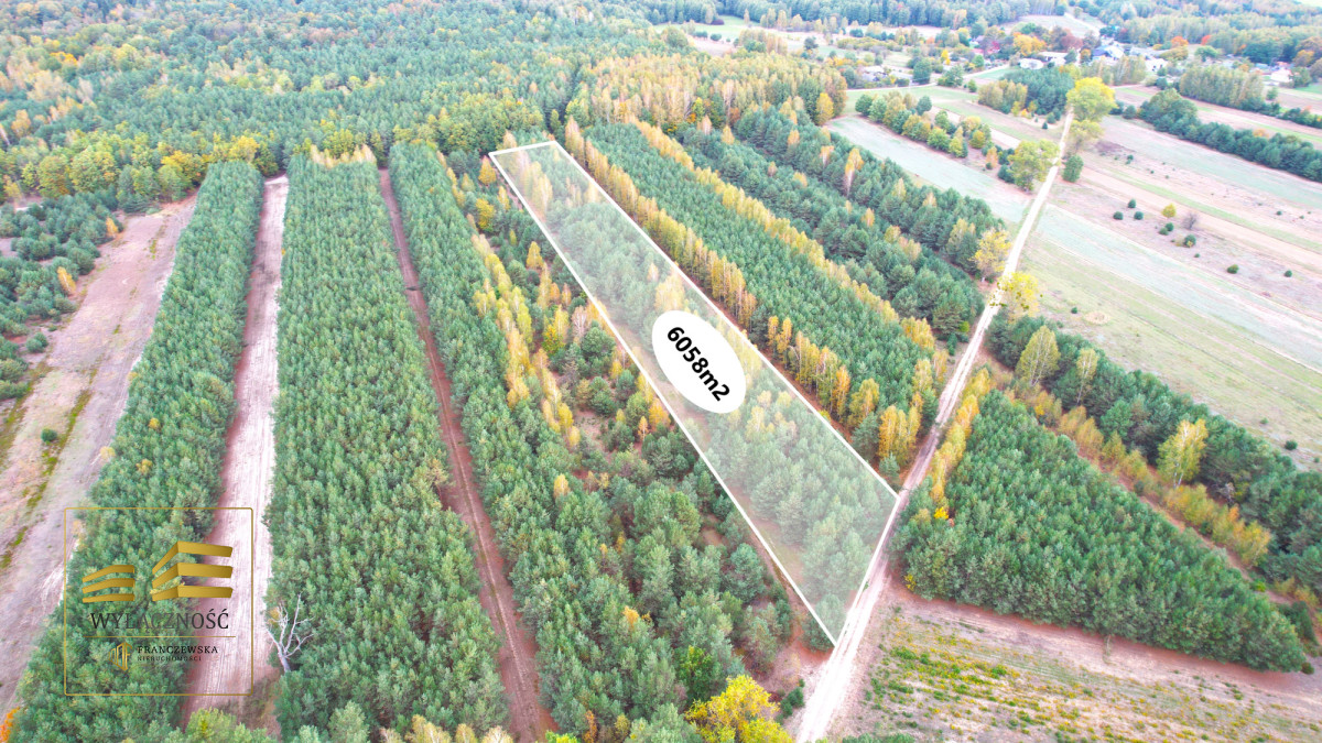 Zalesiona działka nad Firlejem