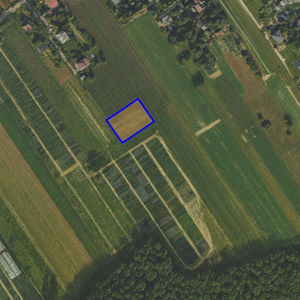 Działka budowlana w Tereszynie