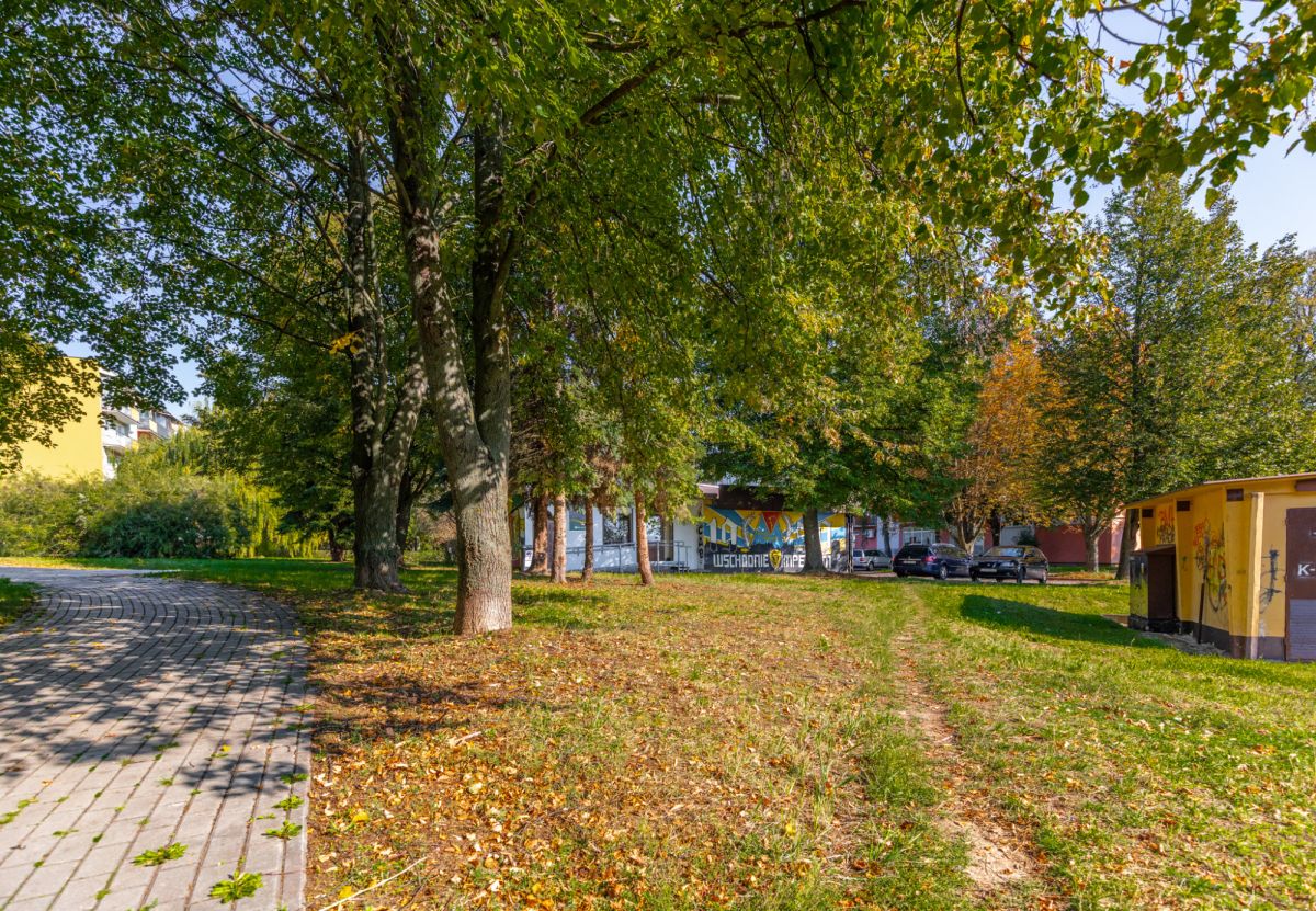 Lokal usługowy Czuby Błonie